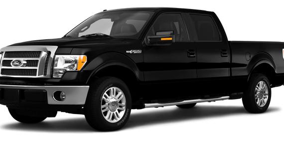 FORD F-150 2010 1FTEW1C89AFC49746 image