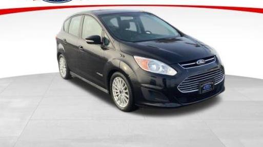FORD C-MAX 2016 1FADP5AU4GL119227 image