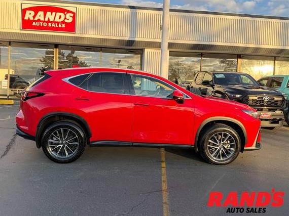 LEXUS NX 2024 2T2AGCEZ1RC052616 image LEXUS NX 2024 2T2AGCEZ1RC052616 image