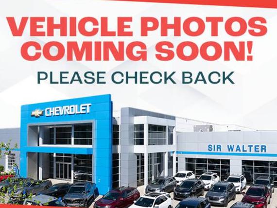 CHEVROLET EXPRESS 2025 1GCWGAFP1S1106812 image