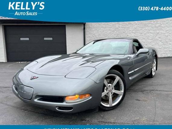 CHEVROLET CORVETTE 2004 1G1YY22G145102734 image