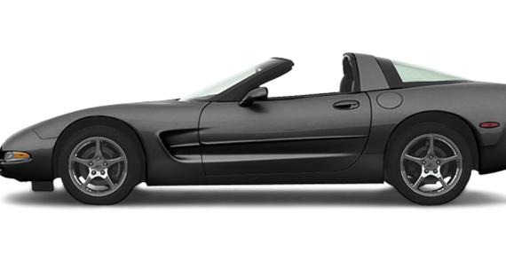 CHEVROLET CORVETTE 2003 1G1YY22G435109322 image