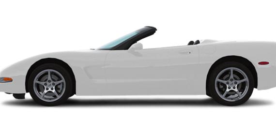 CHEVROLET CORVETTE 2000 1G1YY32G4Y5124741 image