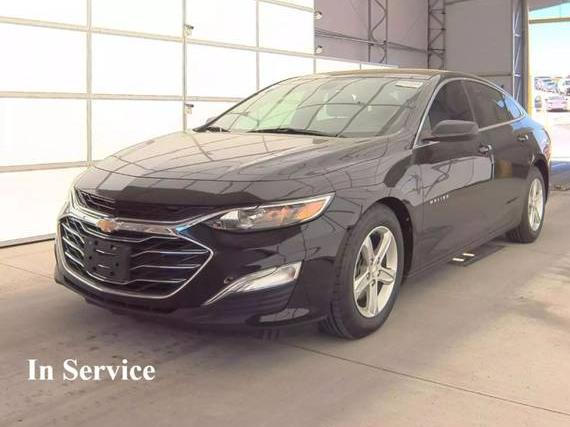 CHEVROLET MALIBU 2019 1G1ZB5ST1KF144395 image