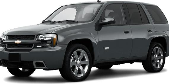 CHEVROLET TRAILBLAZER 2009 1GNDS33S992107891 image