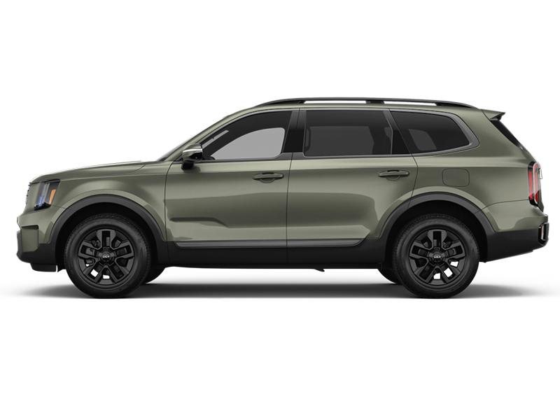 kia telluride 2023 5XYP5DGC8PG373105 image kia telluride 2023 5XYP5DGC8PG373105 image