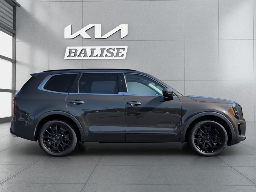 kia telluride 2021 5XYP5DHC6MG103509 image kia telluride 2021 5XYP5DHC6MG103509 image
