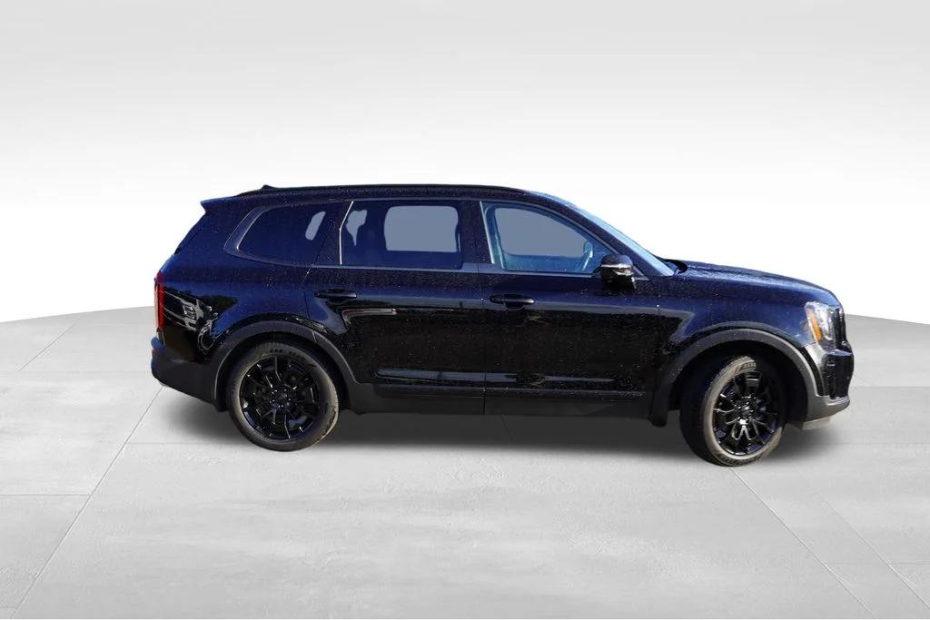 kia telluride 2021 5XYP5DHCXMG117655 image kia telluride 2021 5XYP5DHCXMG117655 image