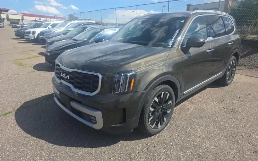 kia telluride 2024 5XYP5DGC5RG430475 image kia telluride 2024 5XYP5DGC5RG430475 image