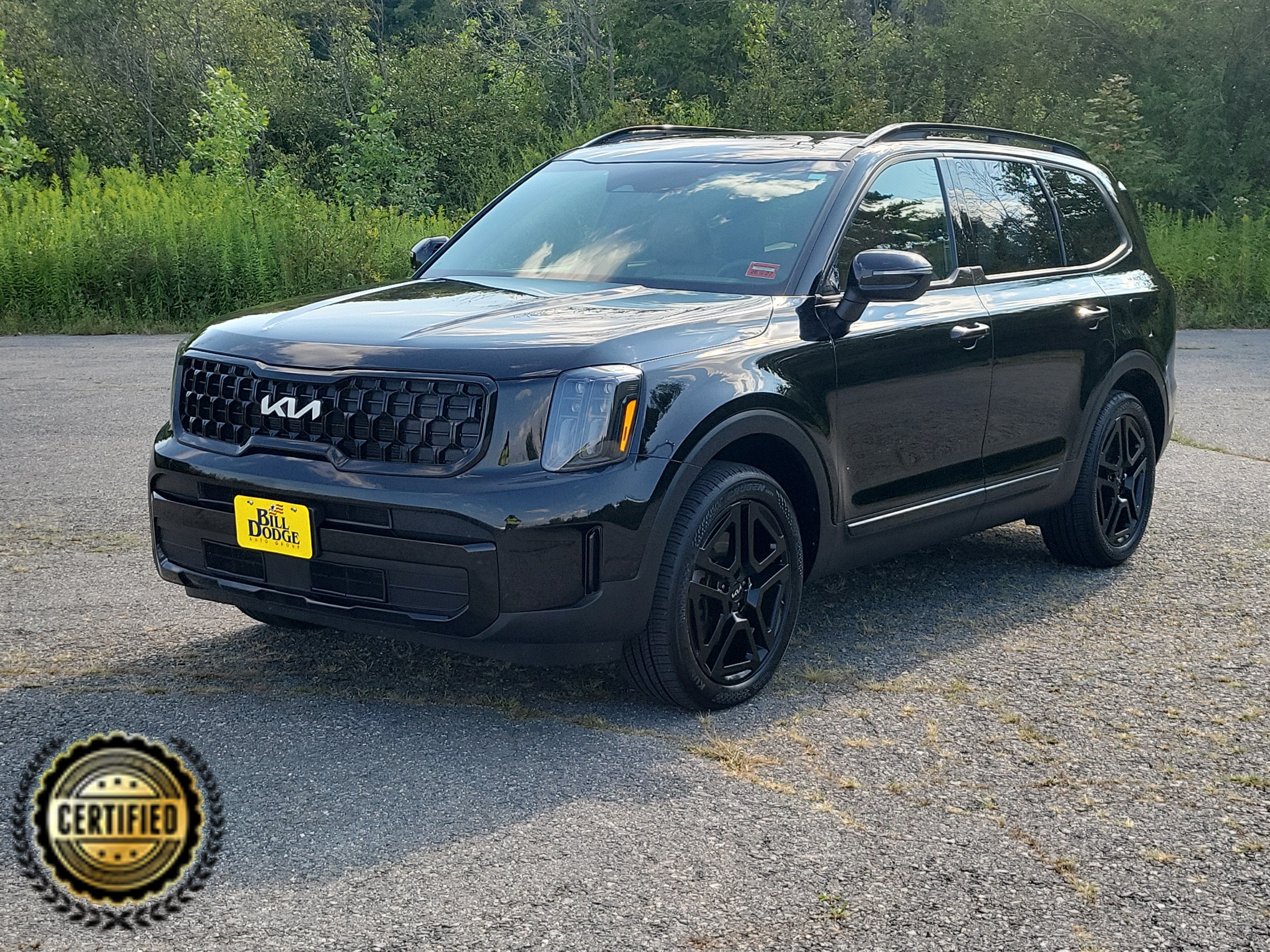 kia telluride 2024 5XYP3DGC3RG483519 image kia telluride 2024 5XYP3DGC3RG483519 image