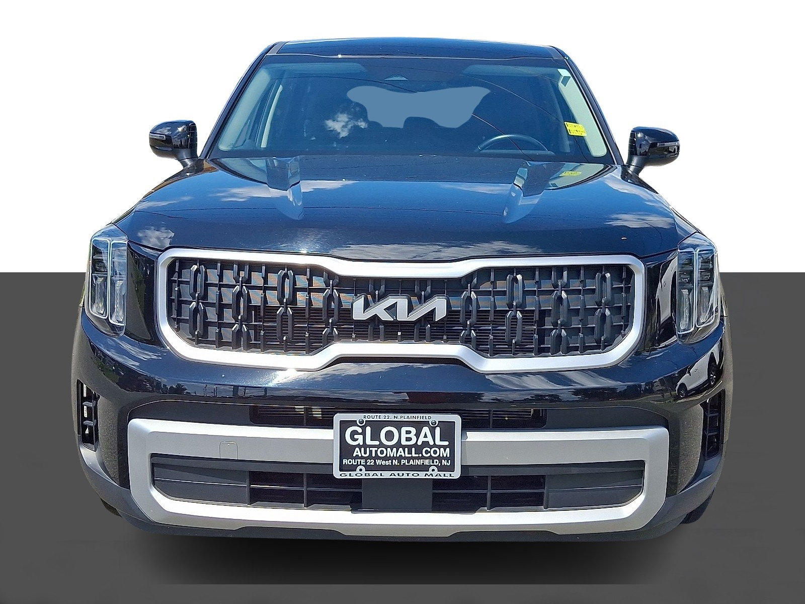 kia telluride 2024 5XYP2DGCXRG435650 image kia telluride 2024 5XYP2DGCXRG435650 image