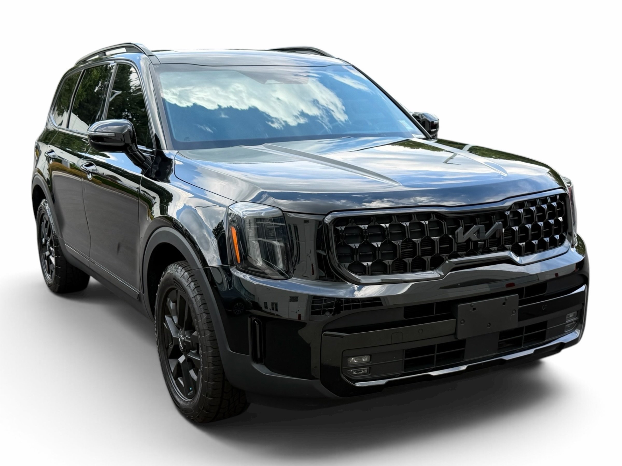 kia telluride 2024 5XYP5DGC8RG456942 image kia telluride 2024 5XYP5DGC8RG456942 image