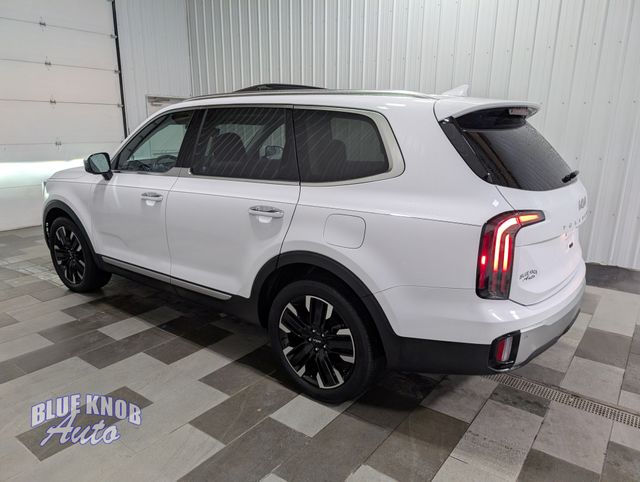 kia telluride 2024 5XYP5DGC1RG420980 image kia telluride 2024 5XYP5DGC1RG420980 image