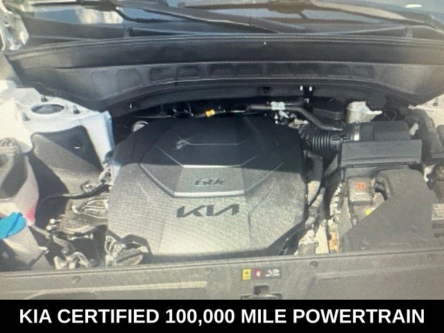 kia telluride 2024 5XYP5DGC8RG432513 image kia telluride 2024 5XYP5DGC8RG432513 image