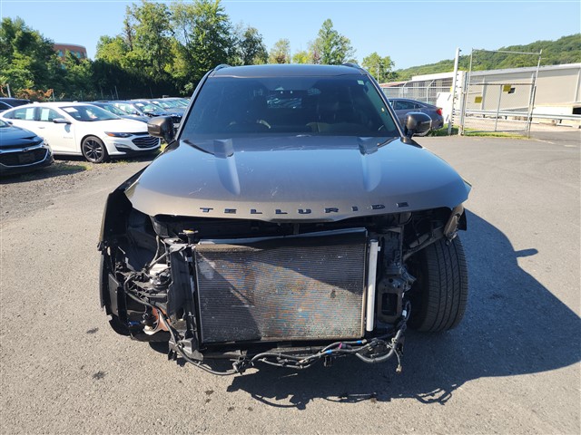 kia telluride 2022 5XYP5DHC9NG251901 image kia telluride 2022 5XYP5DHC9NG251901 image