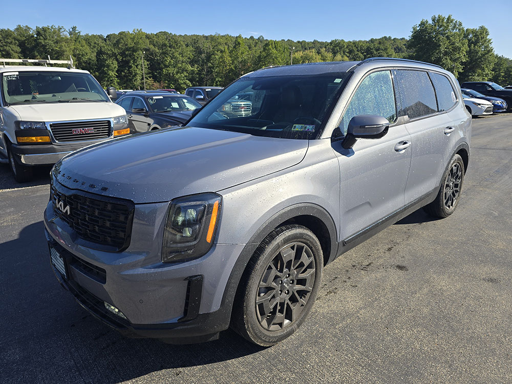 kia telluride 2022 5XYP5DHC6NG299565 image kia telluride 2022 5XYP5DHC6NG299565 image