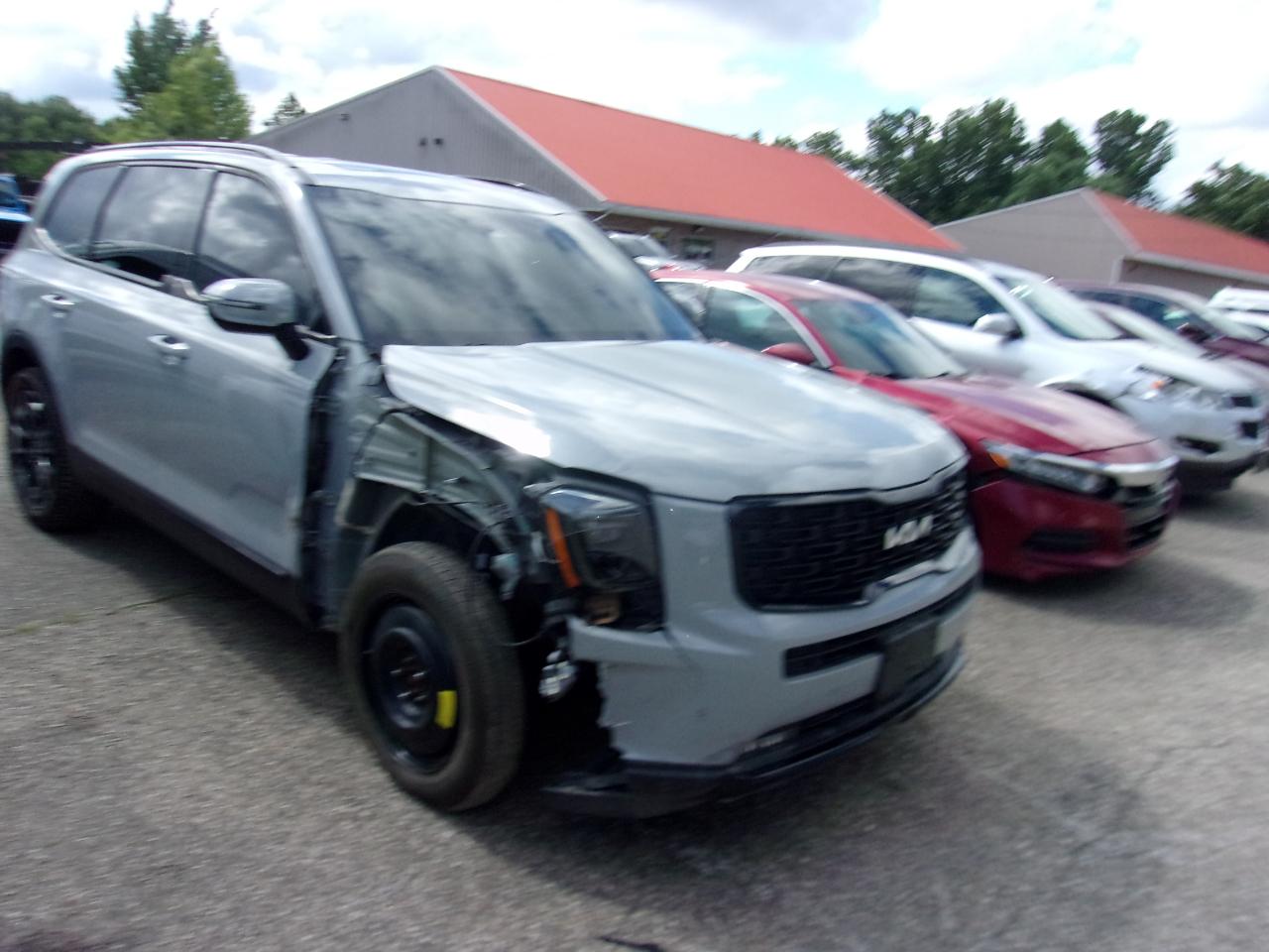 kia telluride 2022 5XYP5DHC6NG281888 image kia telluride 2022 5XYP5DHC6NG281888 image