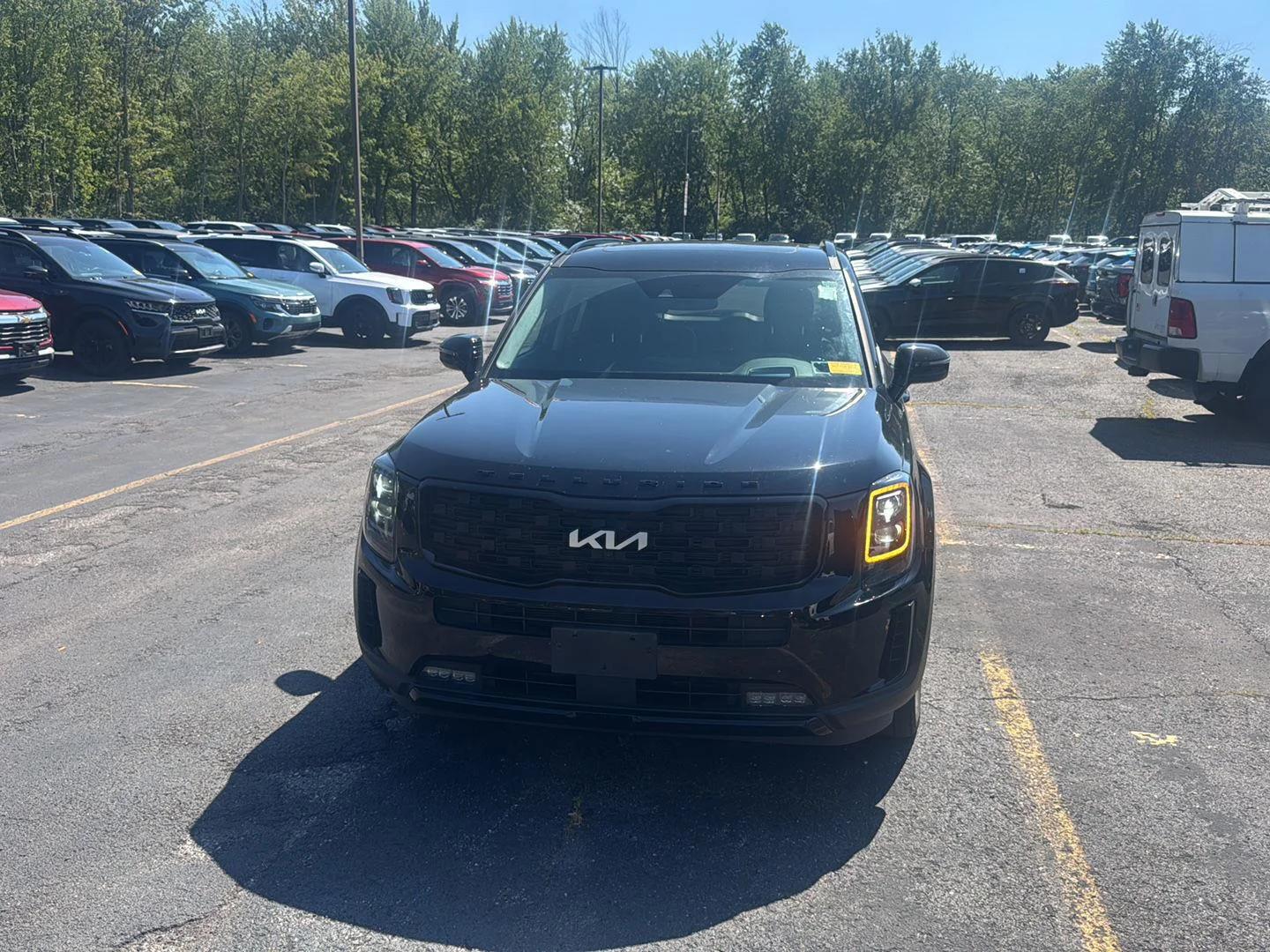 kia telluride 2022 5XYP5DHCXNG281229 image kia telluride 2022 5XYP5DHCXNG281229 image
