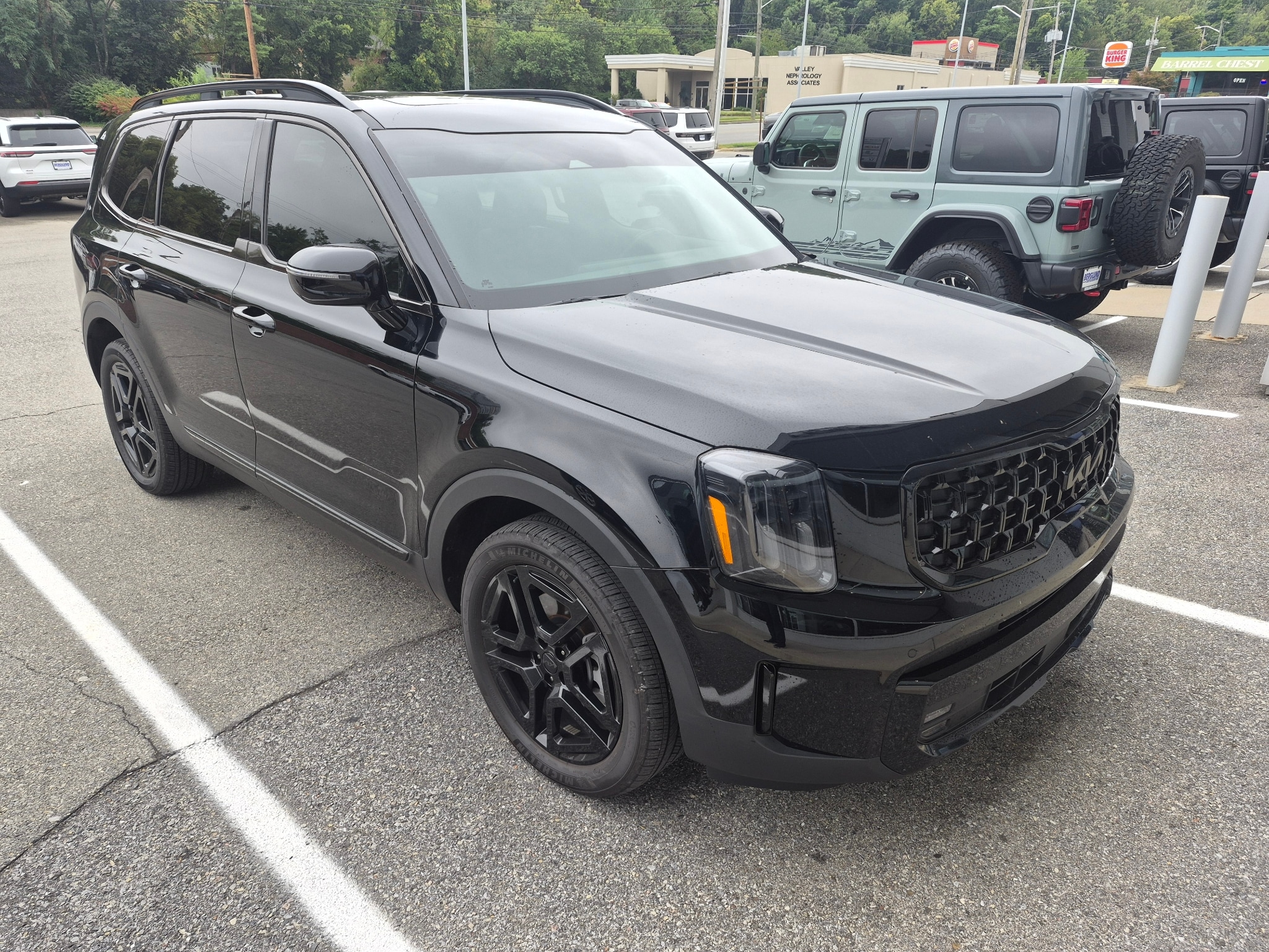 kia telluride 2025 5XYP5DGC6SG662315 image kia telluride 2025 5XYP5DGC6SG662315 image