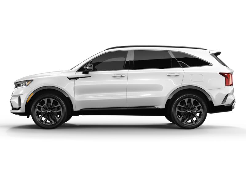 kia sorento 2021 5XYRKDLF3MG047502 image