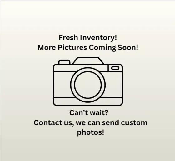 chevrolet impala 2009 2G1WT57K091269499 image chevrolet impala 2009 2G1WT57K091269499 image
