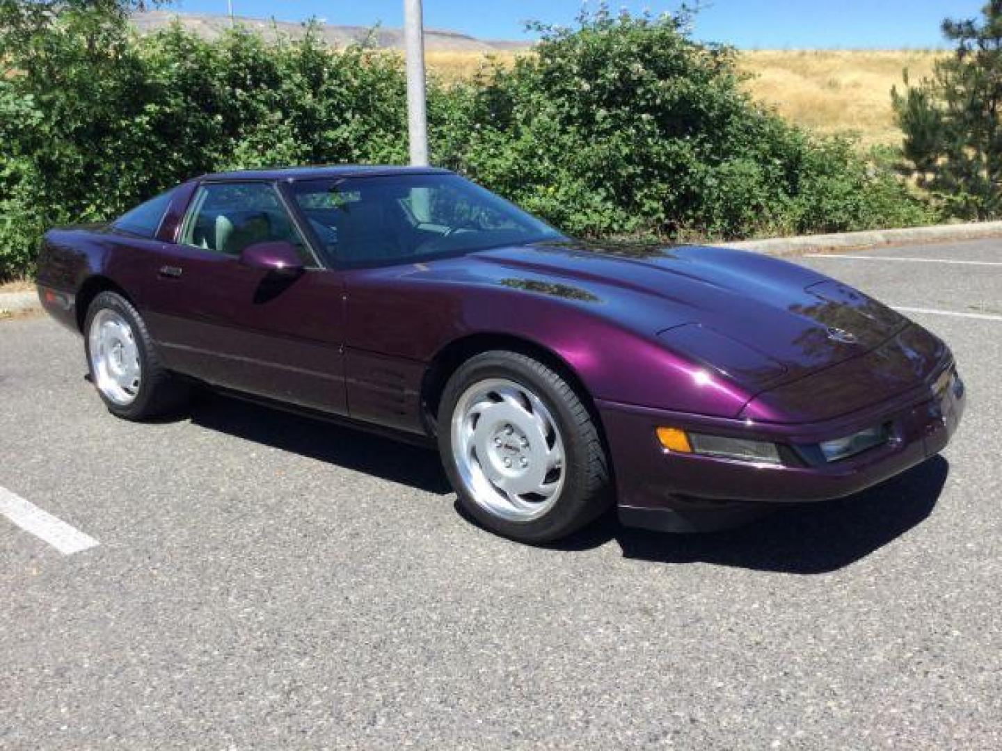 chevrolet corvette 1992 1G1YY23P7N5104648 image chevrolet corvette 1992 1G1YY23P7N5104648 image