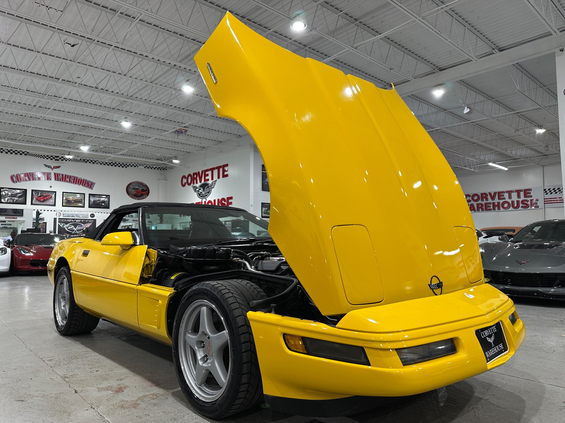 chevrolet corvette 1996 1G1YY3251T5101456 image chevrolet corvette 1996 1G1YY3251T5101456 image