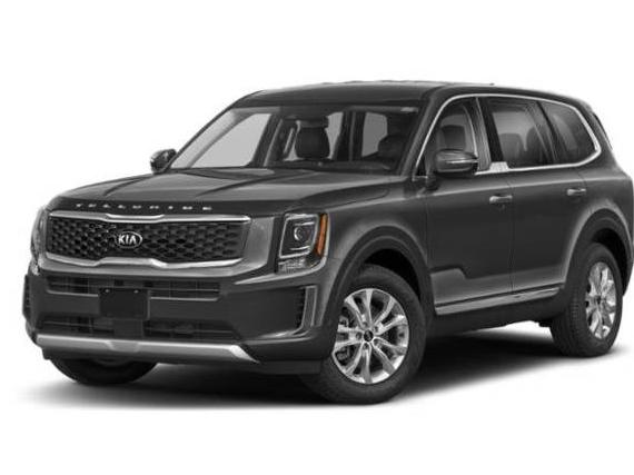 KIA TELLURIDE 2021 5XYP24HC2MG176157 image