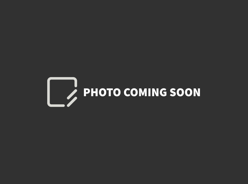 porsche 911 2008 WP0AB29908S732348 image porsche 911 2008 WP0AB29908S732348 image