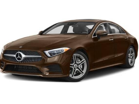 MERCEDES-BENZ CLS-CLASS 2019 WDD2J5JB0KA012087 image