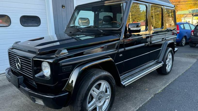 MERCEDES-BENZ G-CLASS 2003 WDCYR49E13X140899 image