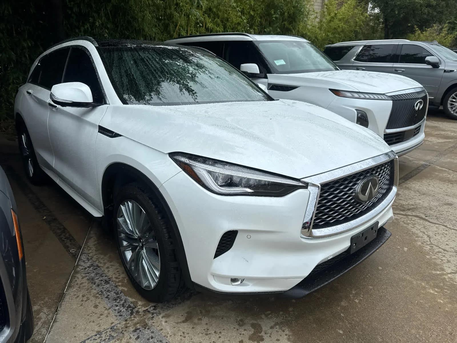 infiniti qx50 2023 3PCAJ5DB3PF113432 image infiniti qx50 2023 3PCAJ5DB3PF113432 image