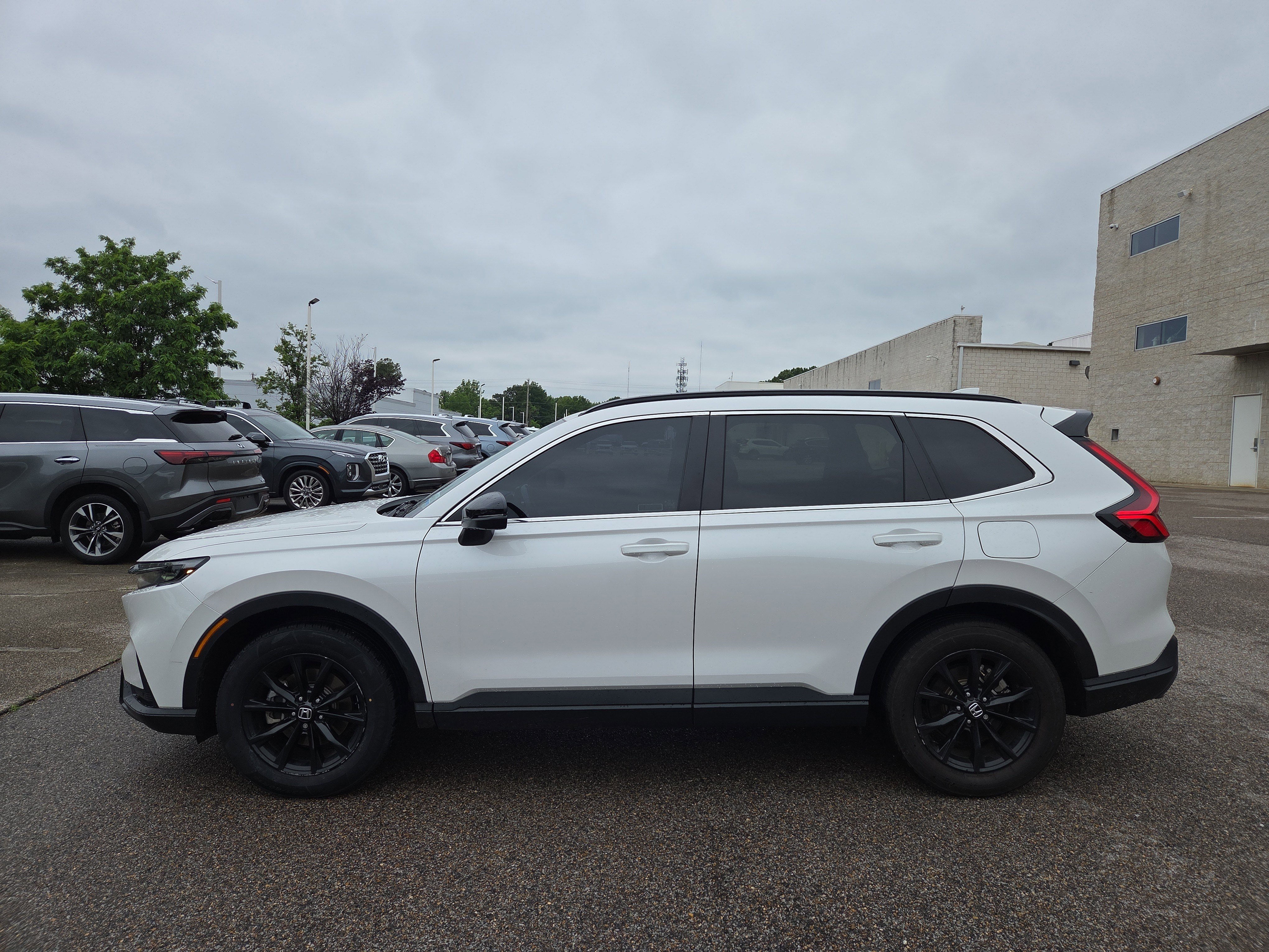 honda cr-v 2025 2HKRS6H81SH810323 image honda cr-v 2025 2HKRS6H81SH810323 image