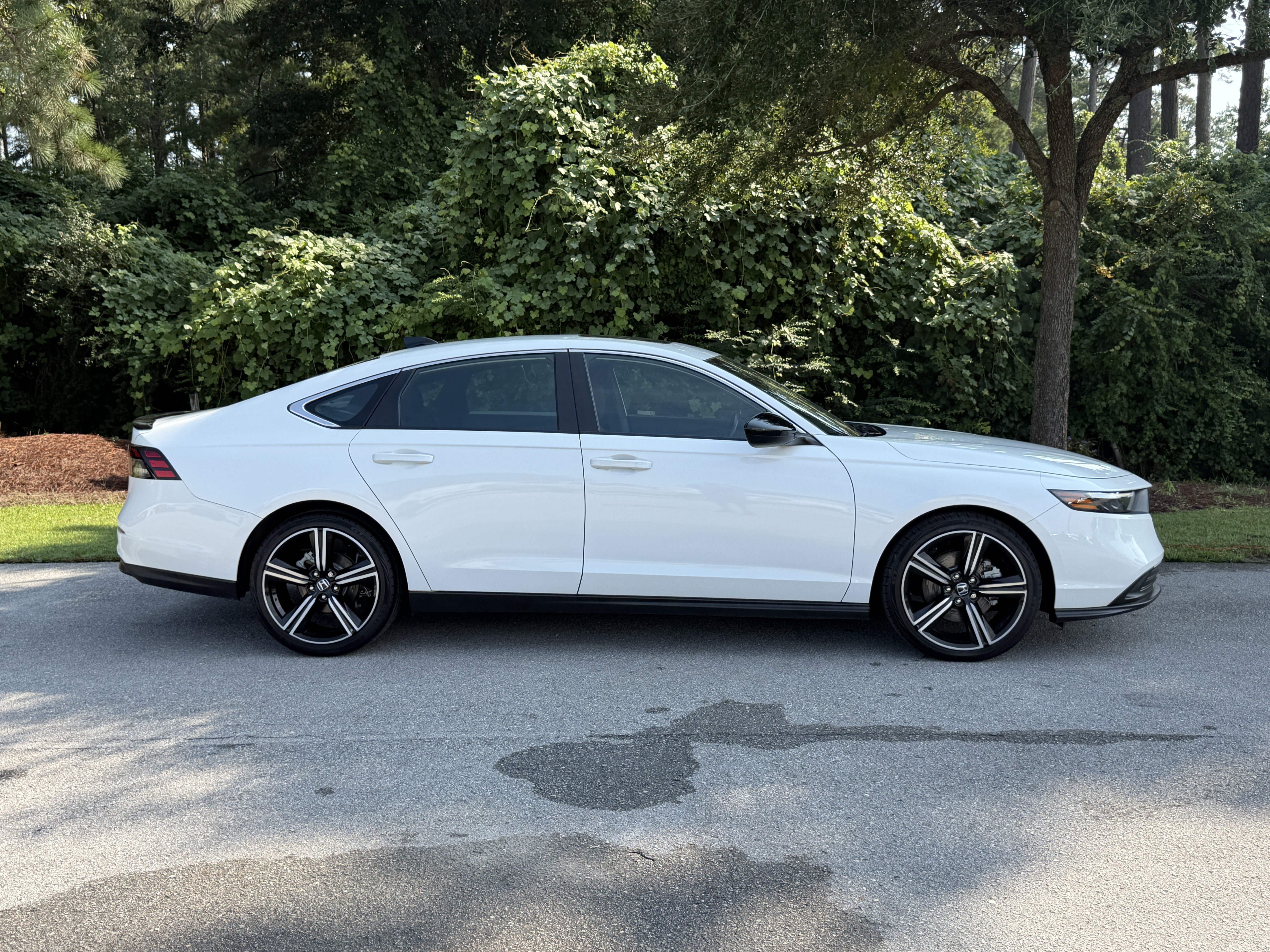 honda accord 2023 1HGCY2F59PA062619 image honda accord 2023 1HGCY2F59PA062619 image