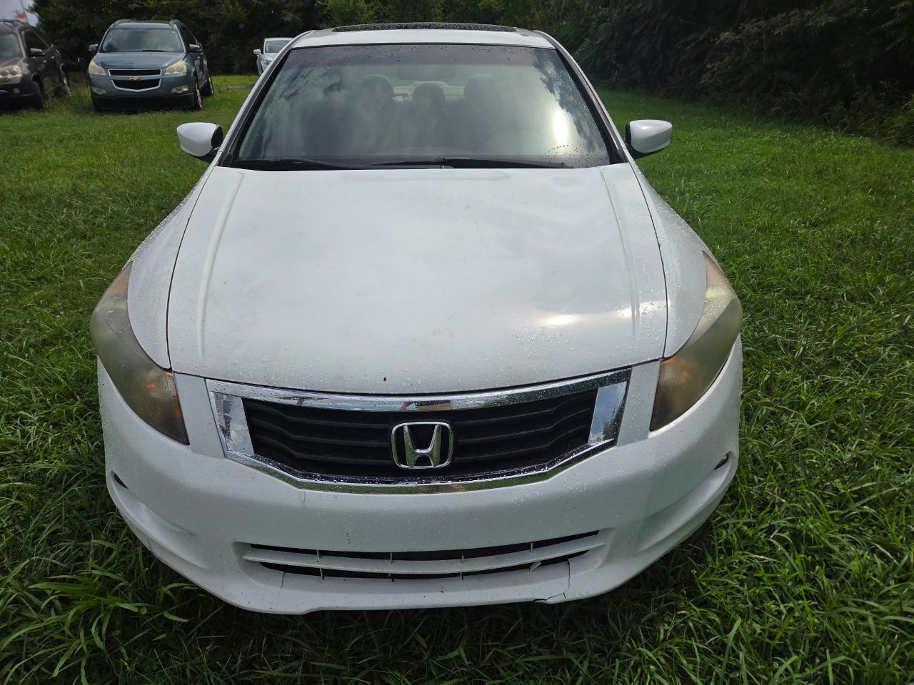 honda accord 2010 5KBCP3F8XAB017982 image honda accord 2010 5KBCP3F8XAB017982 image