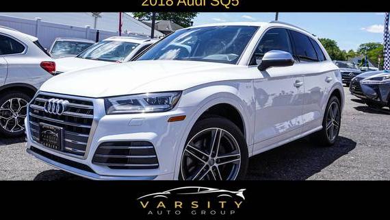AUDI SQ5 2018 WA1A4AFY2J2109345 image
