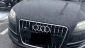 AUDI Q7 2010 WA1LMAFEXAD005351 image