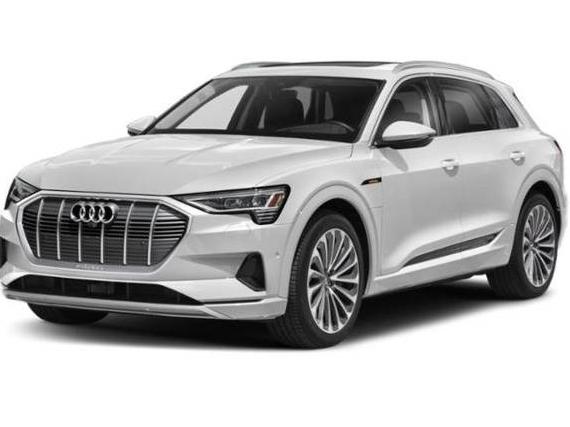 AUDI E-TRON 2022 WA1AAAGE0NB010834 image