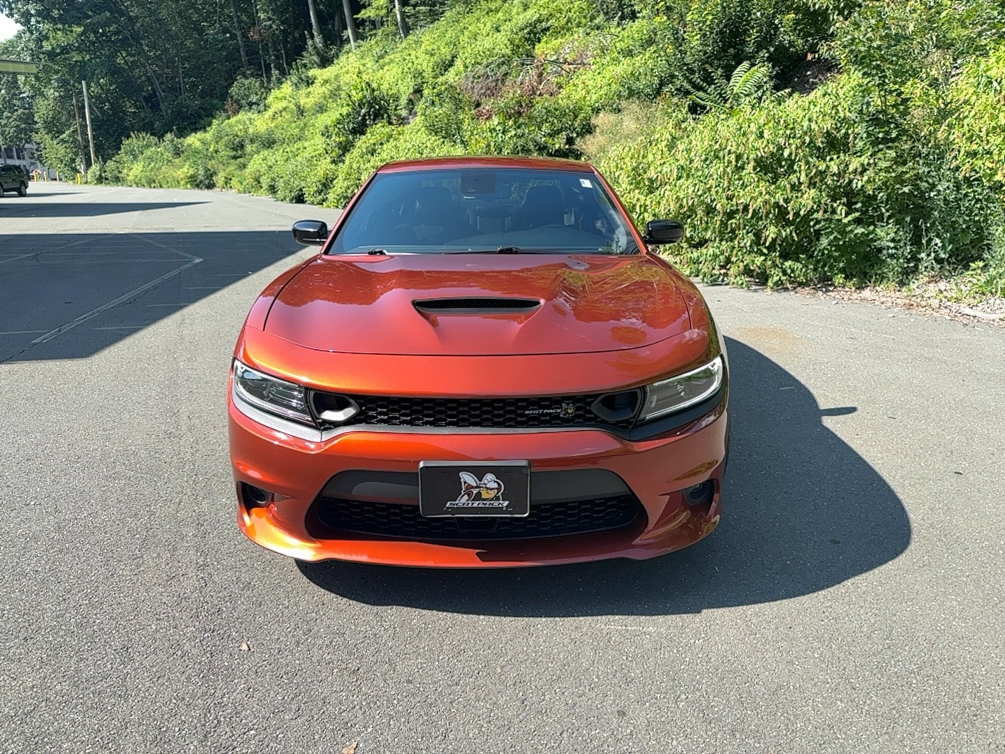 dodge charger 2023 2C3CDXGJ8PH533989 image dodge charger 2023 2C3CDXGJ8PH533989 image