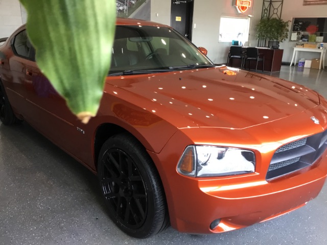 dodge charger 2006 2B3KA53H66H195502 image dodge charger 2006 2B3KA53H66H195502 image