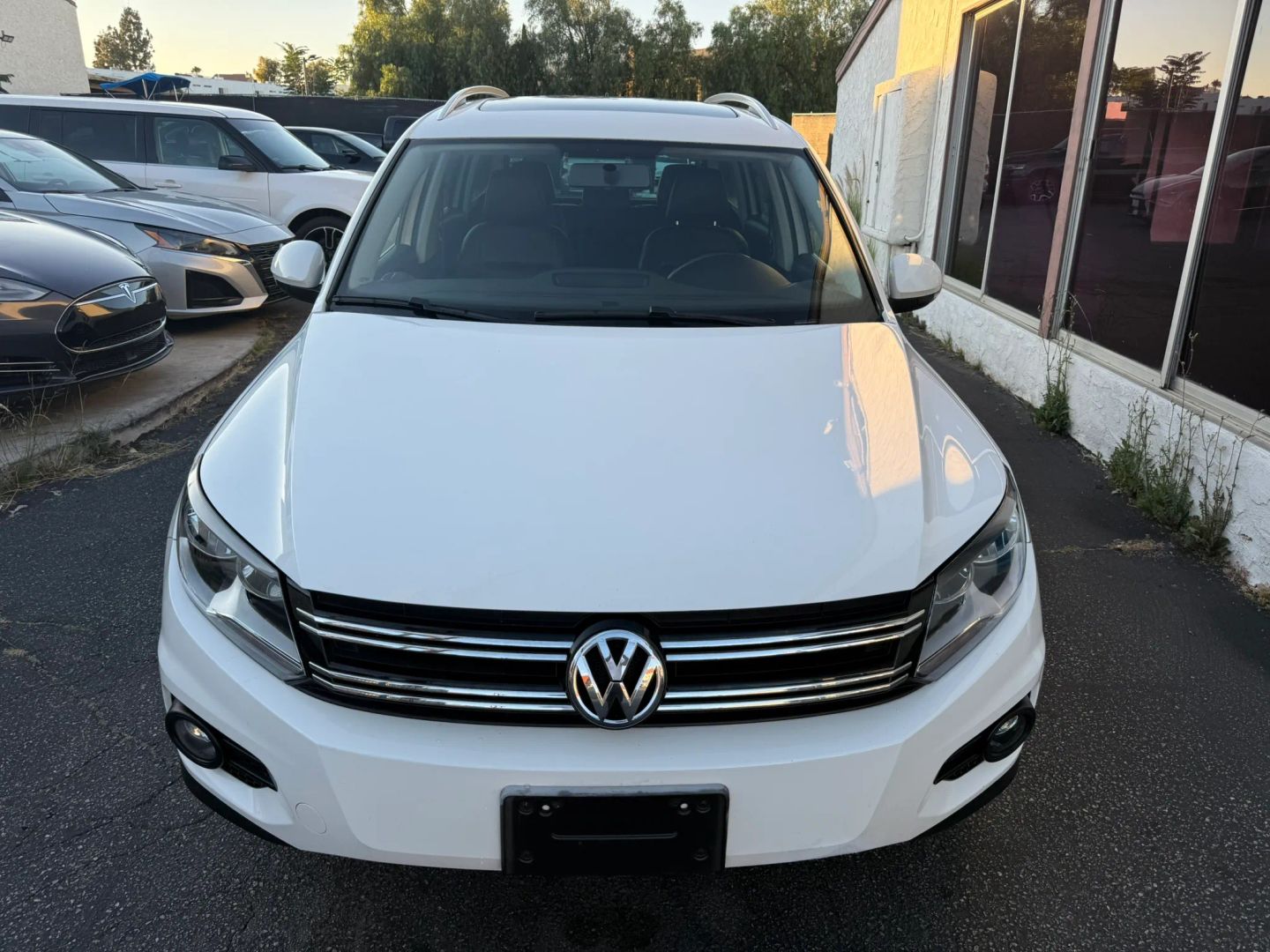 volkswagen tiguan 2012 WVGAV7AX8CW598393 image volkswagen tiguan 2012 WVGAV7AX8CW598393 image