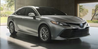 toyota camry 2019 4T1B31HK5KU509584 image