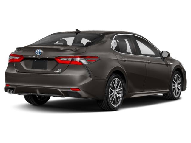 toyota camry 2021 4T1S31AK6MU562713 image toyota camry 2021 4T1S31AK6MU562713 image