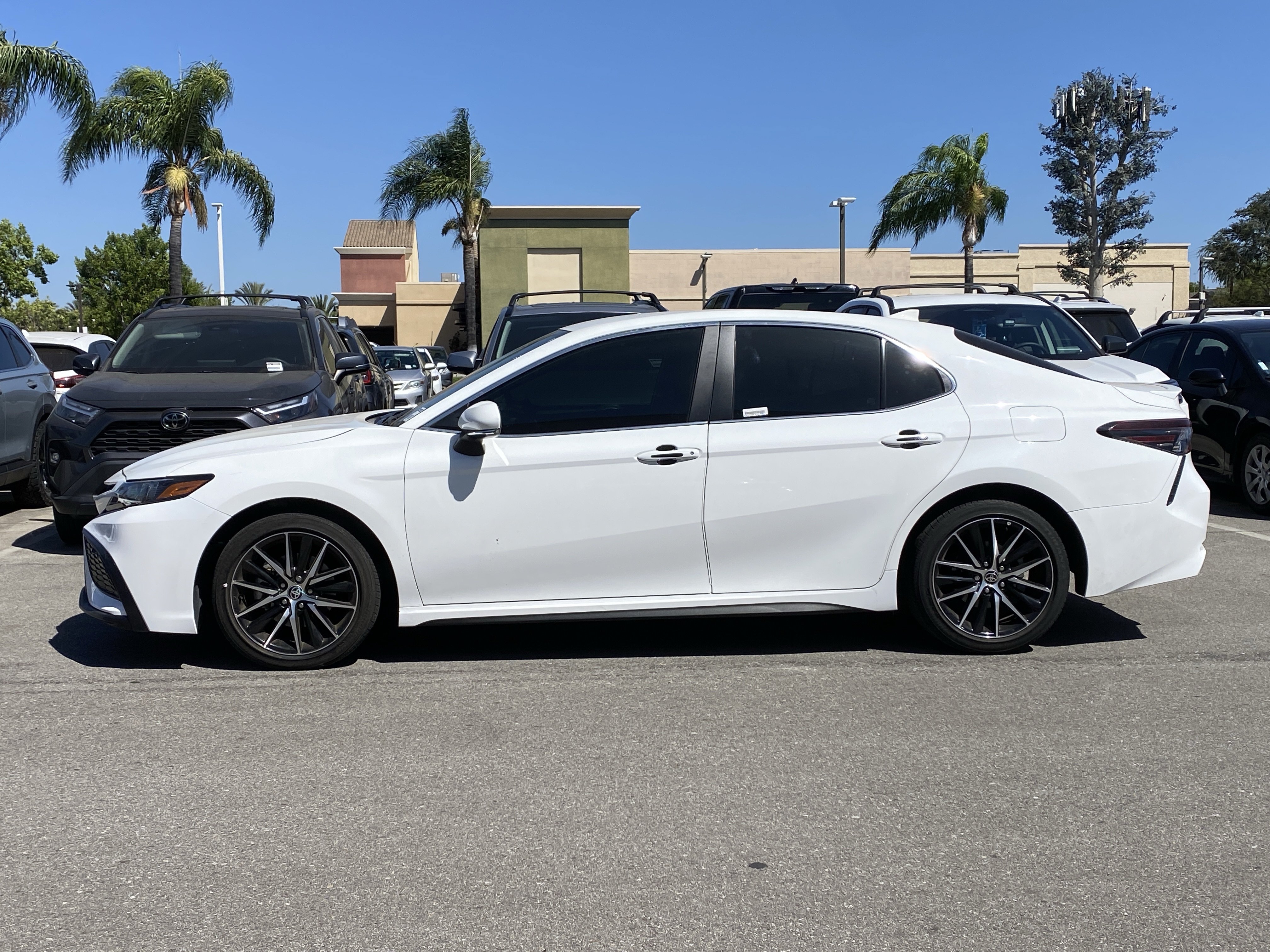 toyota camry 2024 4T1G11AK8RU234406 image