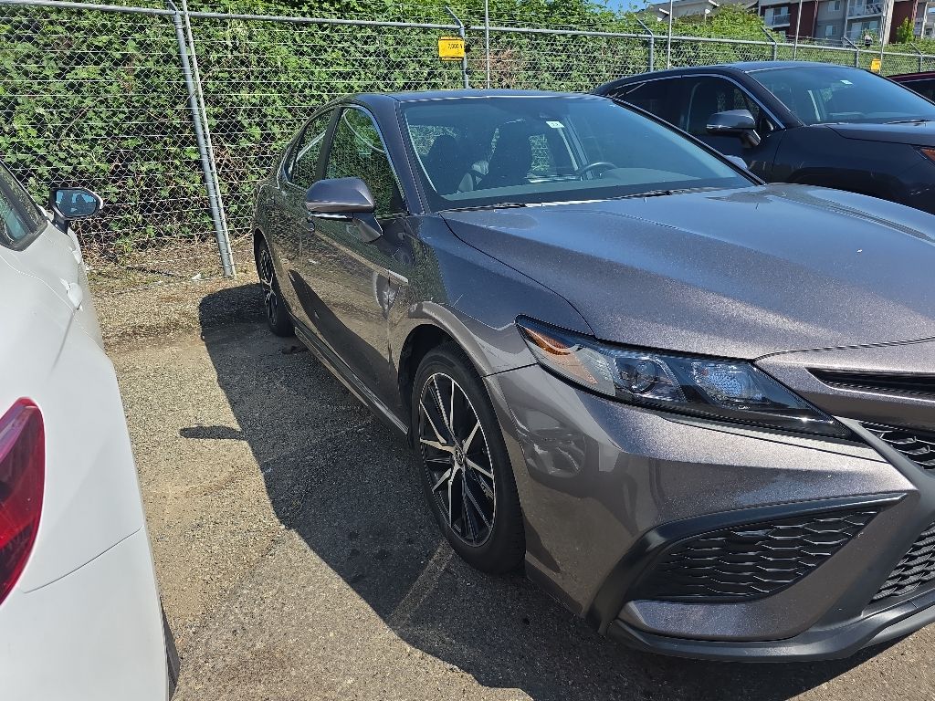 toyota camry 2024 4T1G11BK1RU128037 image