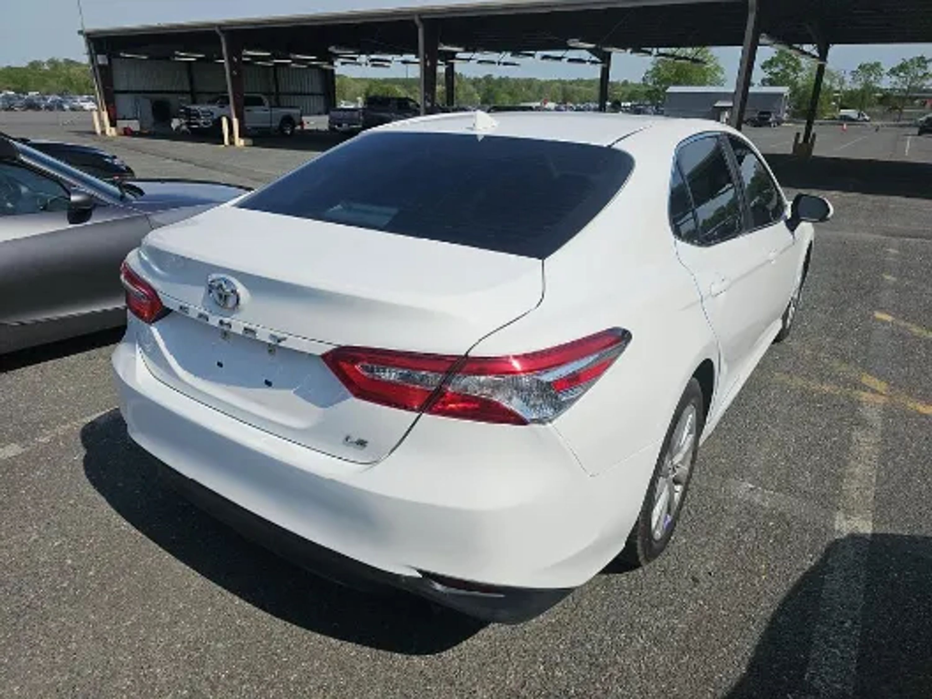 toyota camry 2020 4T1C11AK4LU342737 image toyota camry 2020 4T1C11AK4LU342737 image