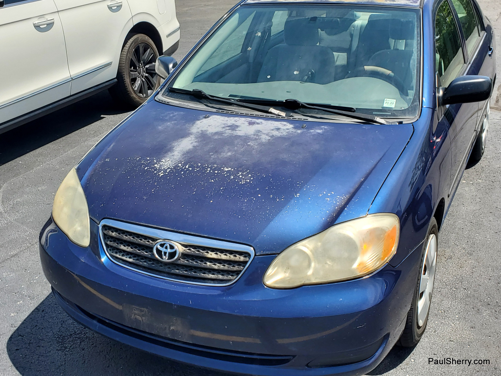 toyota corolla 2008 2T1BR32E28C918598 image toyota corolla 2008 2T1BR32E28C918598 image
