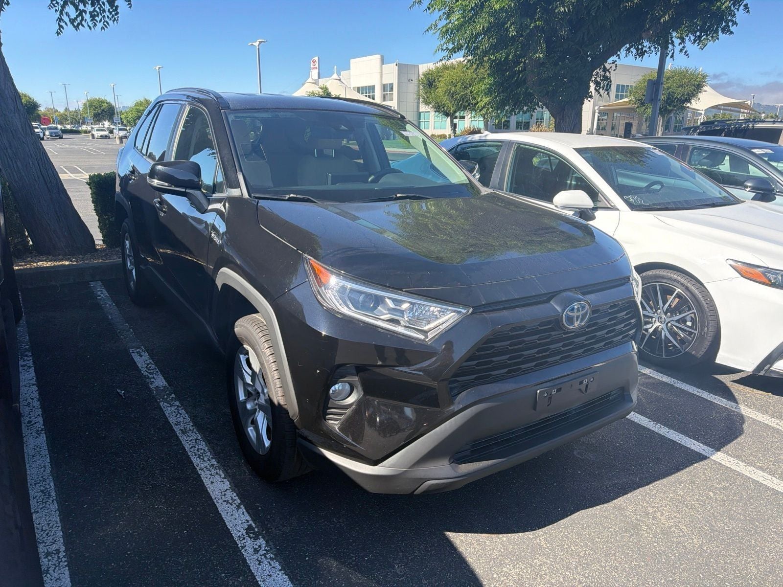 toyota rav4 2021 2T3RWRFV6MW108489 image toyota rav4 2021 2T3RWRFV6MW108489 image