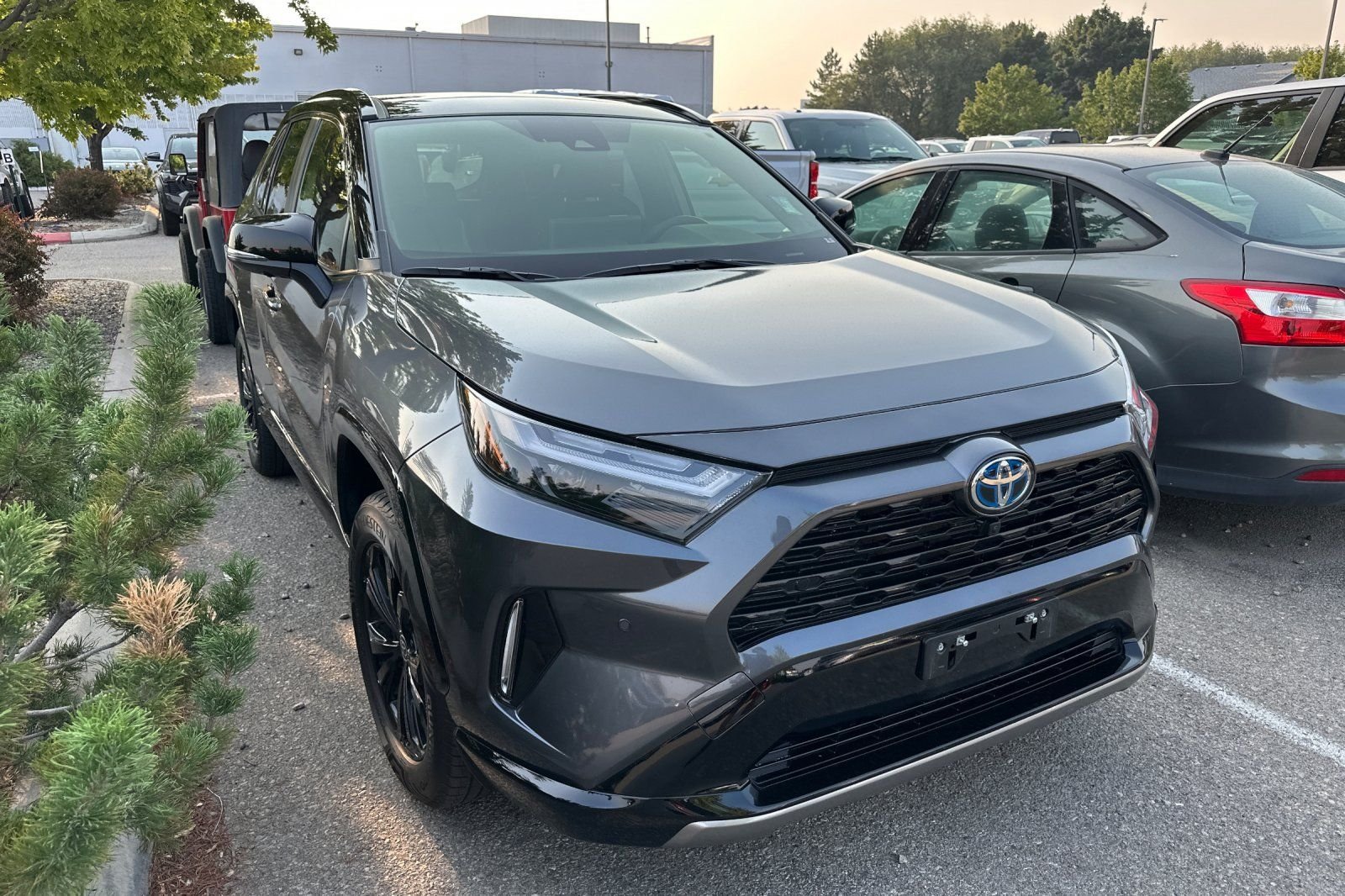 toyota rav4 2024 JTME6RFV0RD564281 image toyota rav4 2024 JTME6RFV0RD564281 image