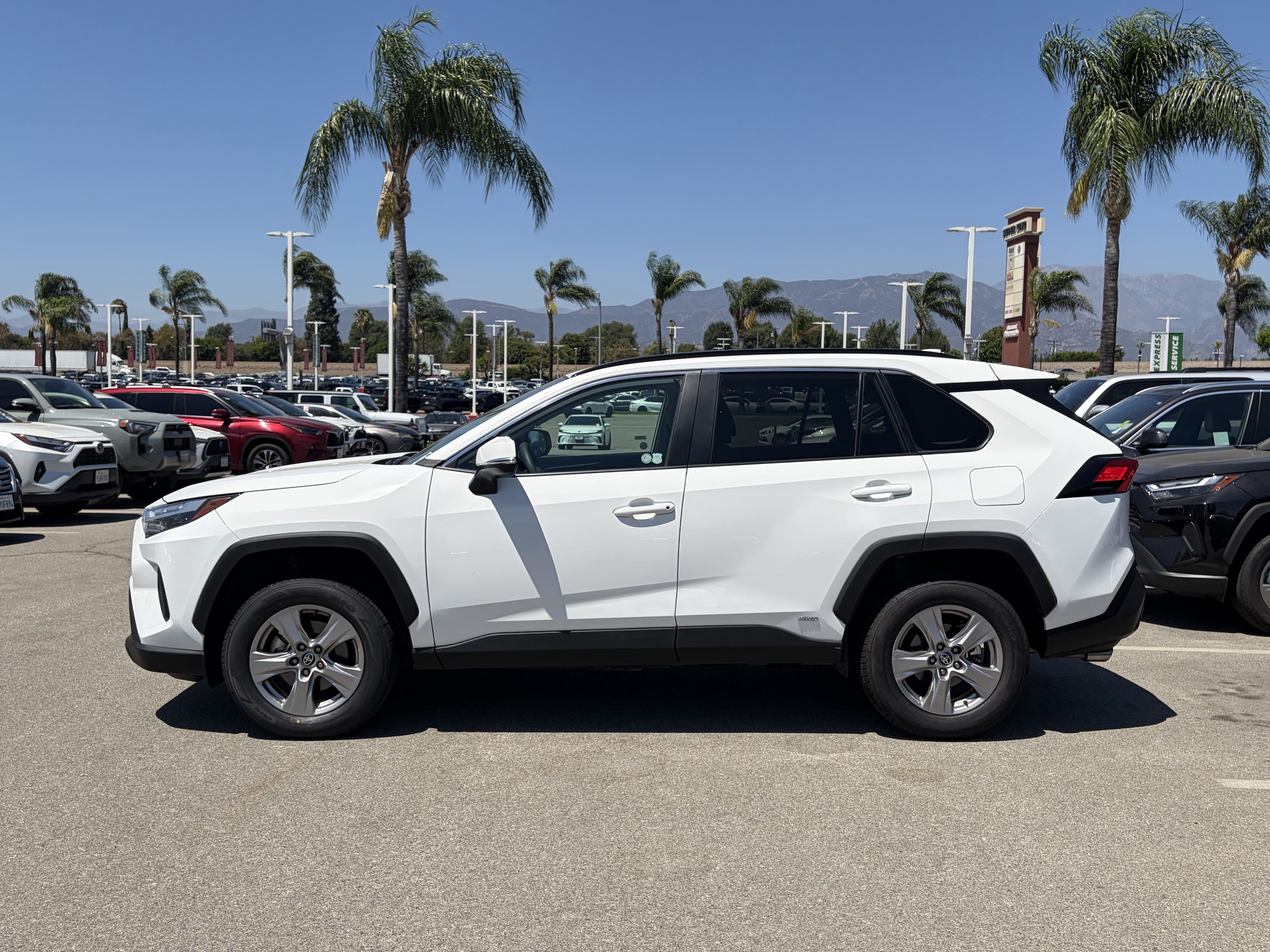 toyota rav4 2025 2T3RWRFVXSW267612 image toyota rav4 2025 2T3RWRFVXSW267612 image